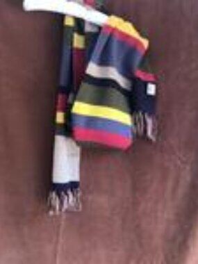 Dr. Who  Multi color Striped Knit Scarf with Fringe